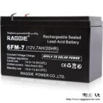 Raggie Battery 12V 7ah