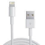 iPhone 5 USB Lightning Cable