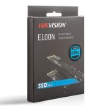 Hikvision E100N Internal SSD 256GB M.2 2280 Interface SATA III